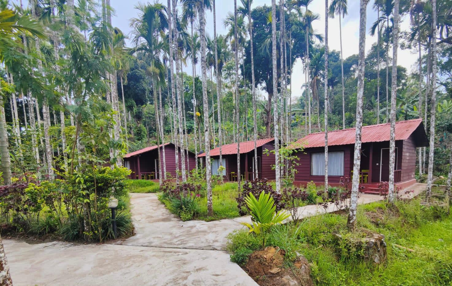 Lazo Areca Resort , Coorg – photo 1