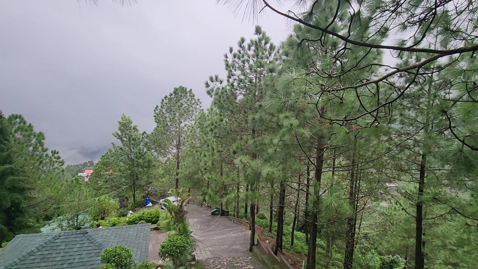 The Skydrift Mussorie – photo 2