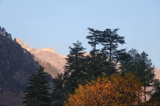 SnugBugKasol – photo 3