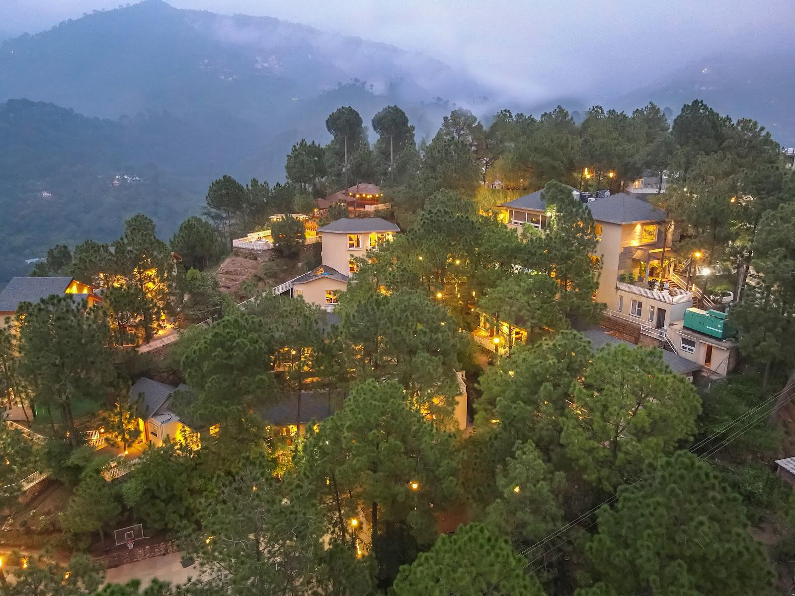 Jungle Lodge Resorts