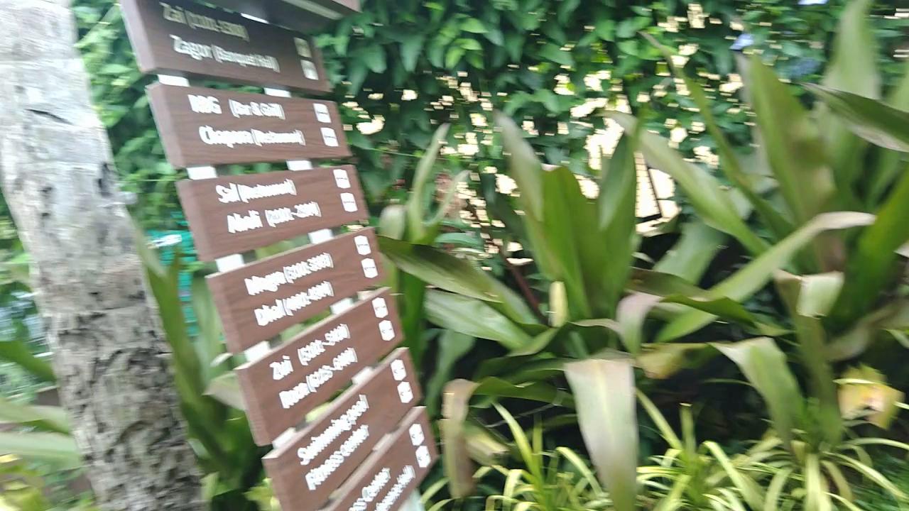 Park Inn by Radisson Goa Candolim – photo 2