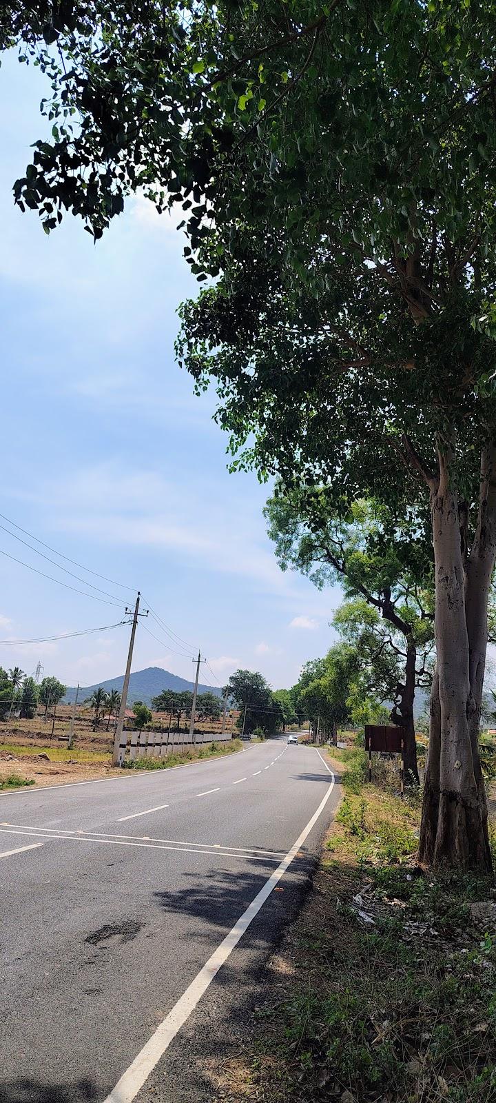 Kollegal – photo 3
