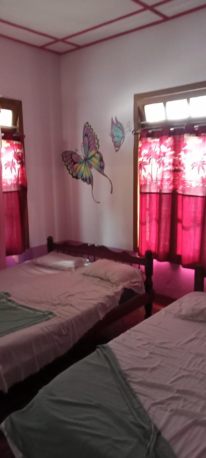 Johnson's Homestay with Pool & Eco houseboat near town beach – photo 2