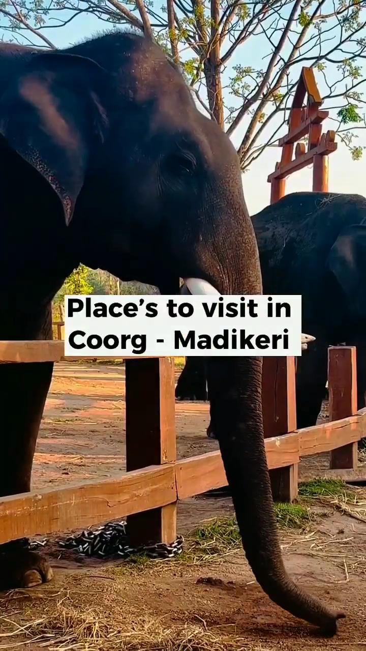 Kanda Coorg Homestay & Resorts – photo 3