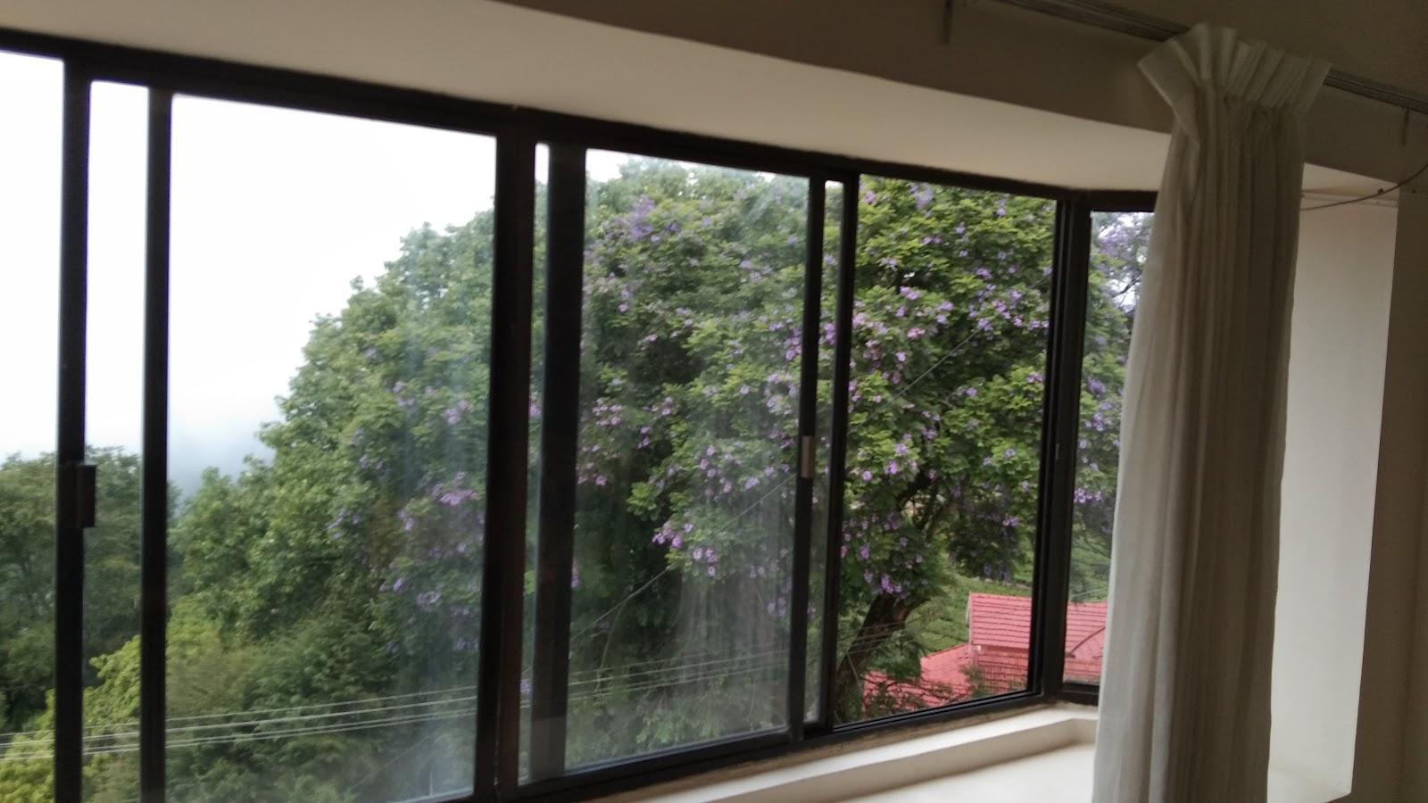 Camellia Heights