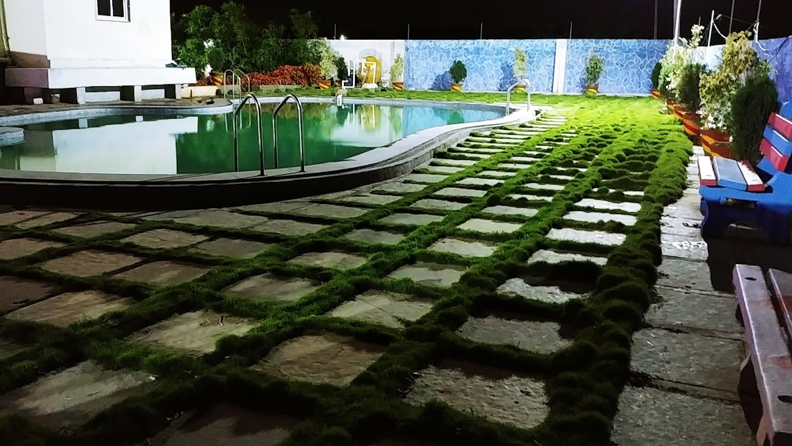 Mir's Group Garden – photo 1