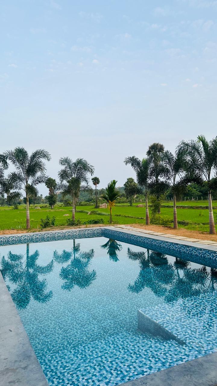 The Serene Retreat – photo 4