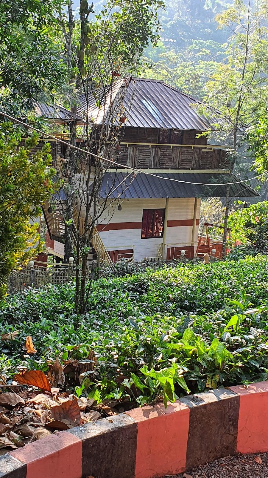 Chalona munnar – photo 3