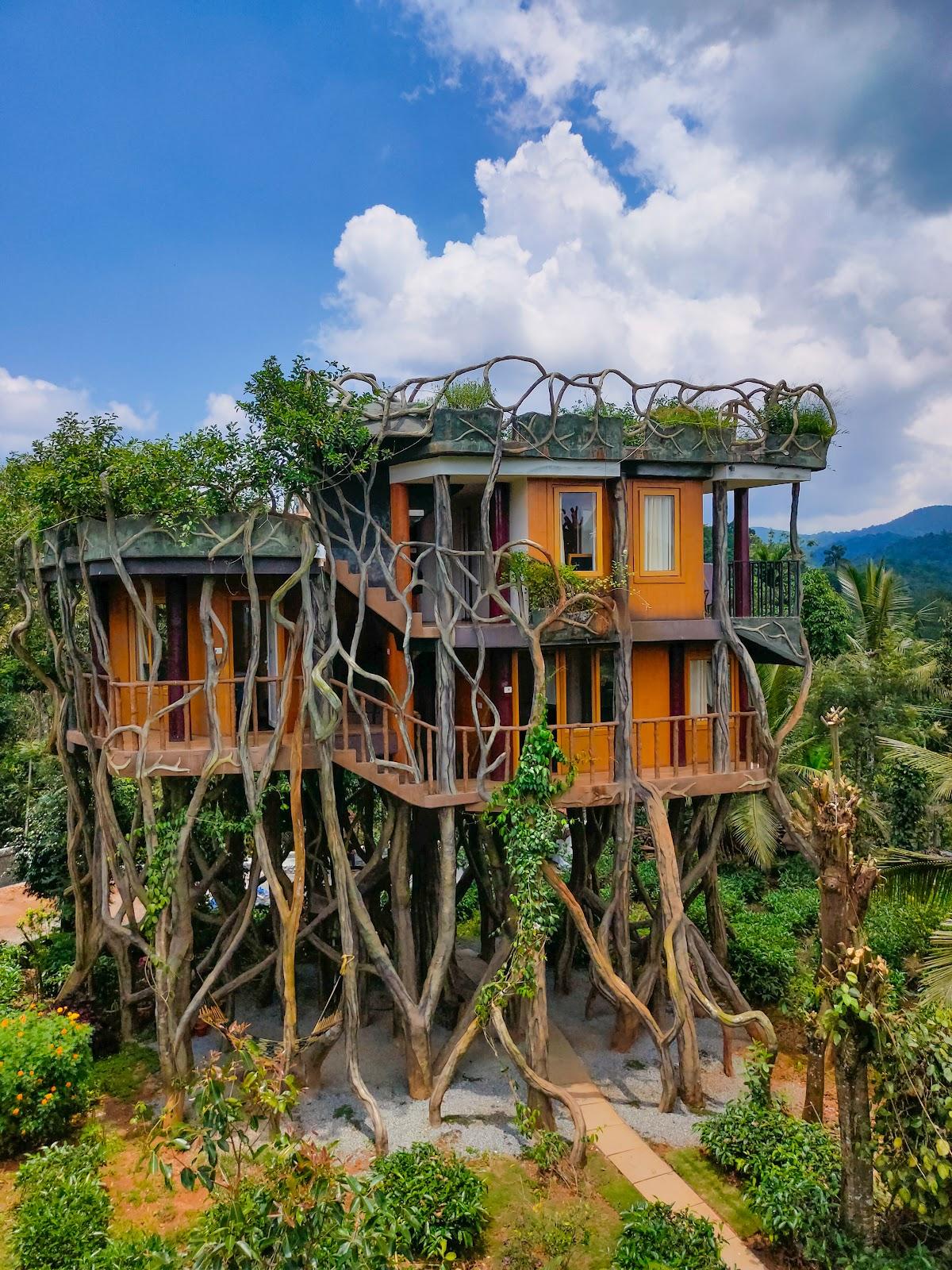 Blue Bell Resort Wayanad - Periya – photo 4