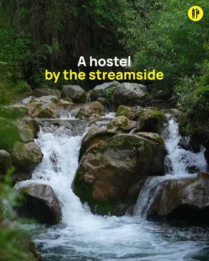 The Hosteller Mussoorie By The Streamside, Kempty – photo 3