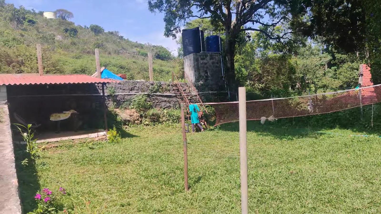 Madhuvan's Agam & Jungle survival – photo 2
