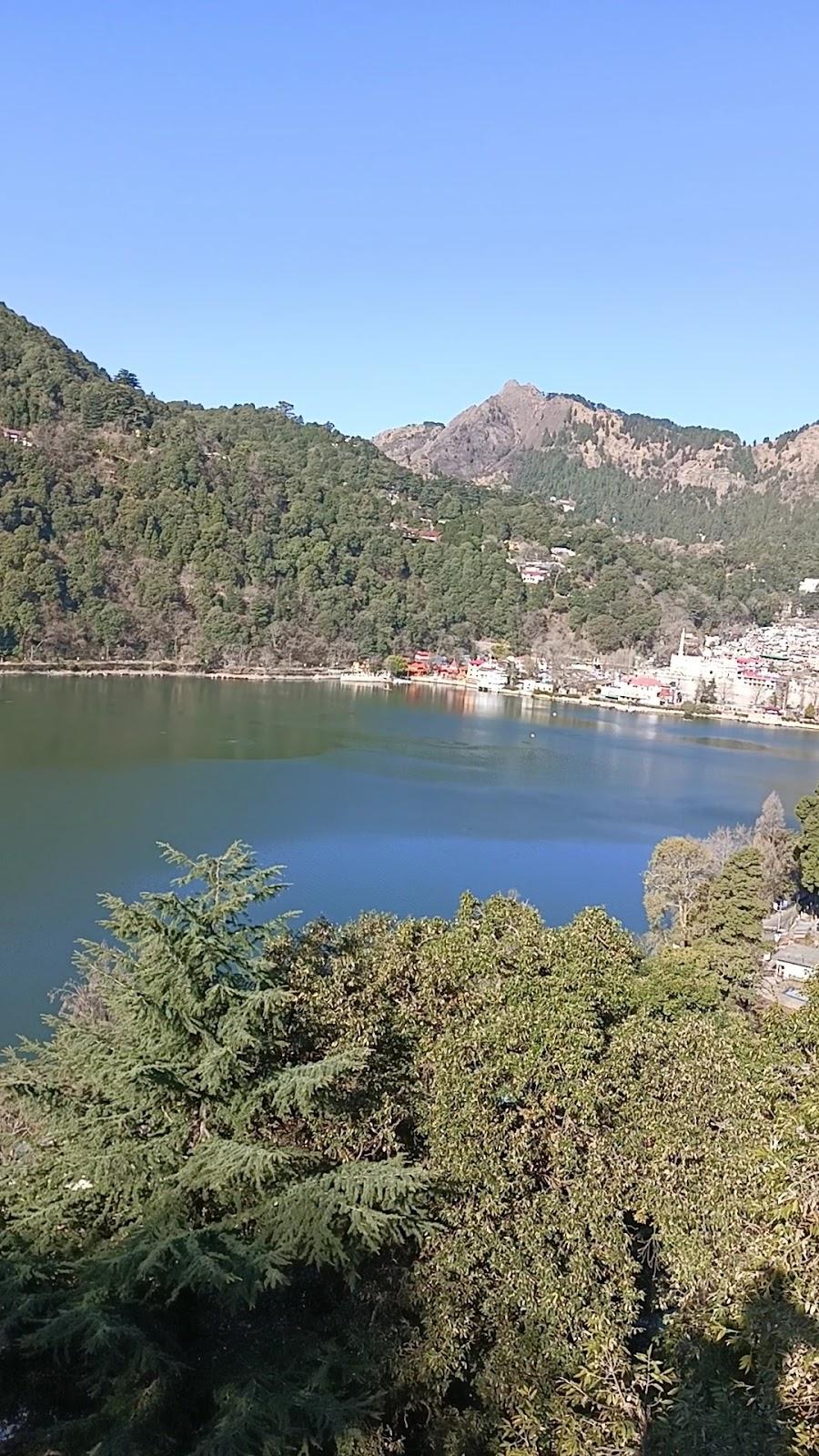 Treebo Kosmos Anamika – photo 2