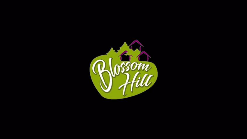 Blossom Hill Resort Munnar – photo 2