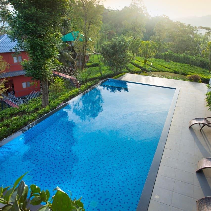Munnar Treehouse – photo 2