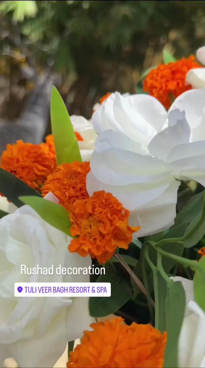 Tuli Veer Bagh Resort - Turia Resort – photo 2