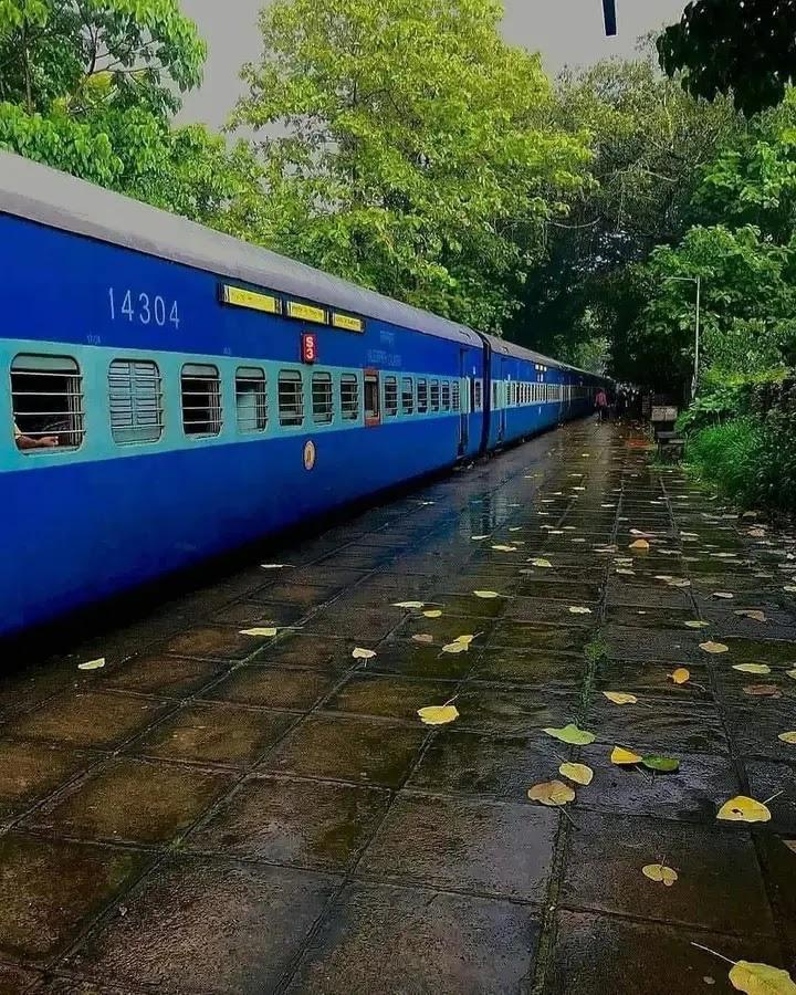 Pattikad Railway Station Roal – photo 2
