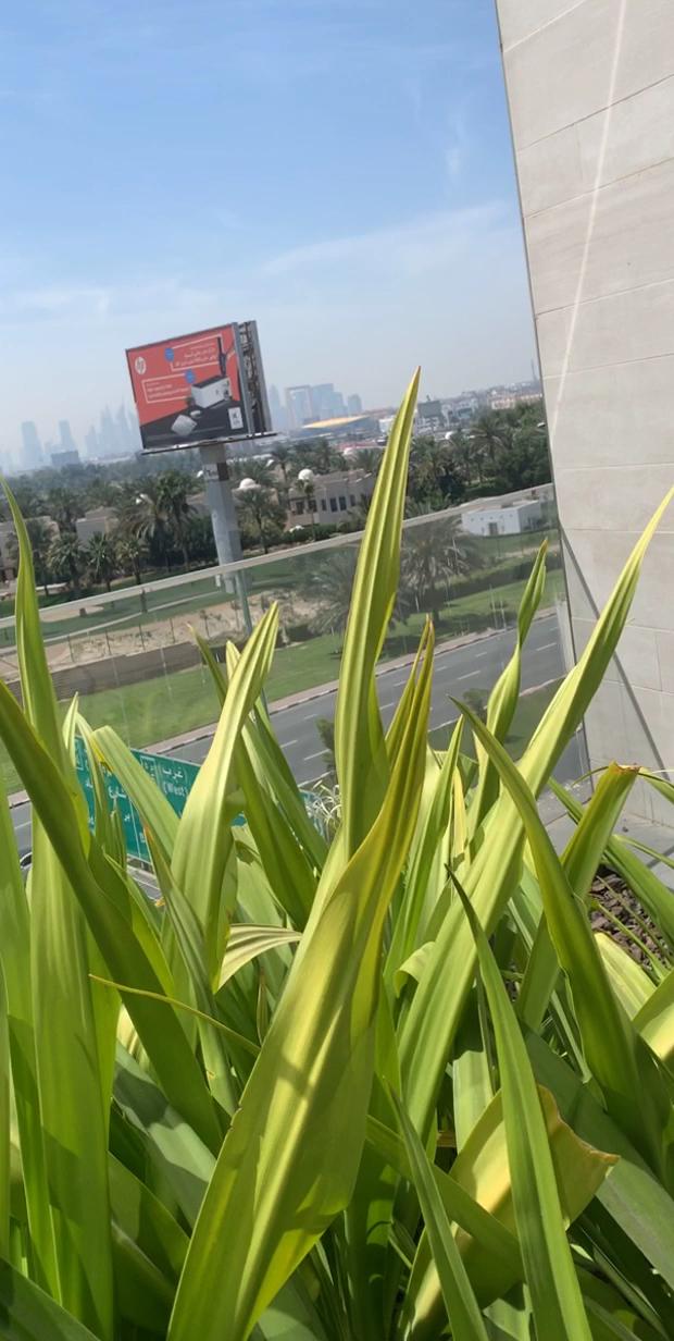 Aloft by Marriott Dubai Creek – photo 2