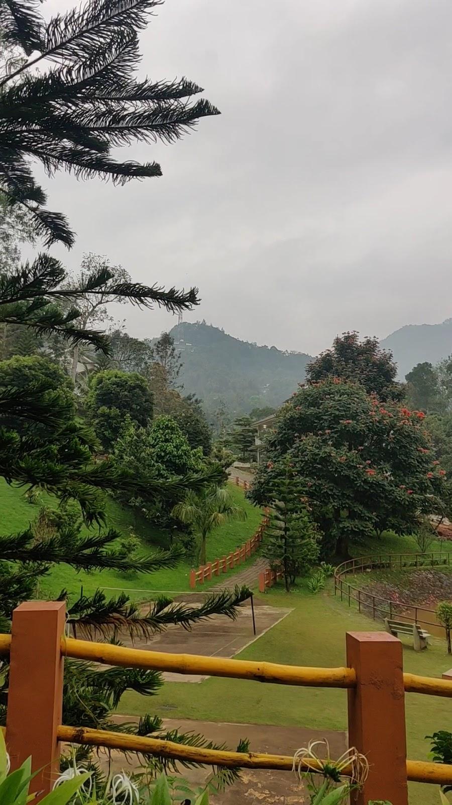 Broad Bean Resort And Spa - Munnar – photo 2