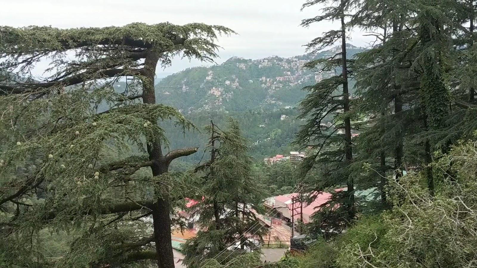 Treebo The Alpine Heritage Residency – photo 2