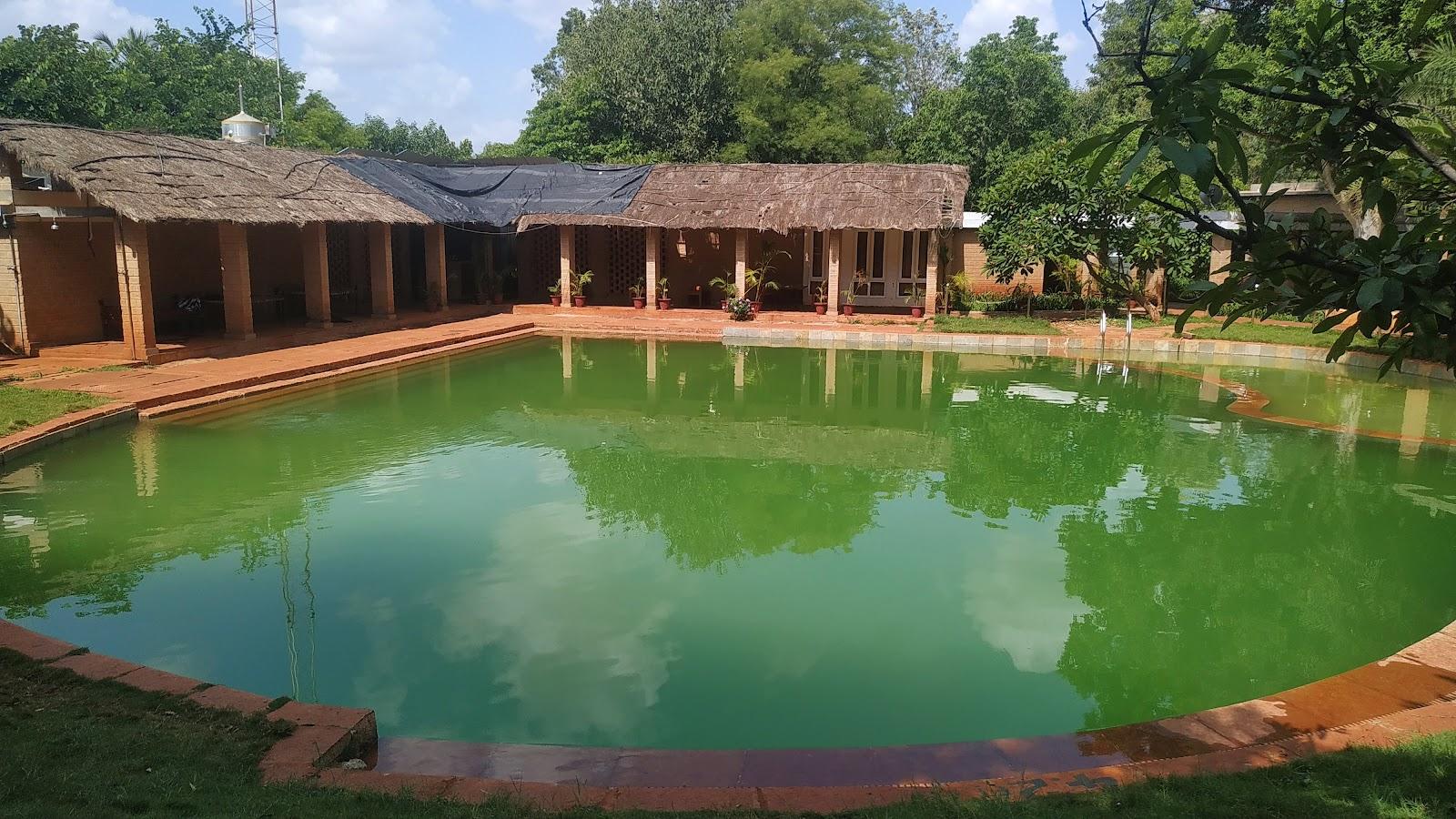 Our Native Village - Eco & Pet Friendly Resort – photo 4