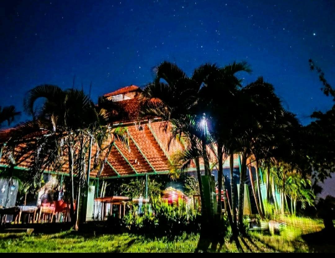 Wild Earth Jungle Camp – photo 1