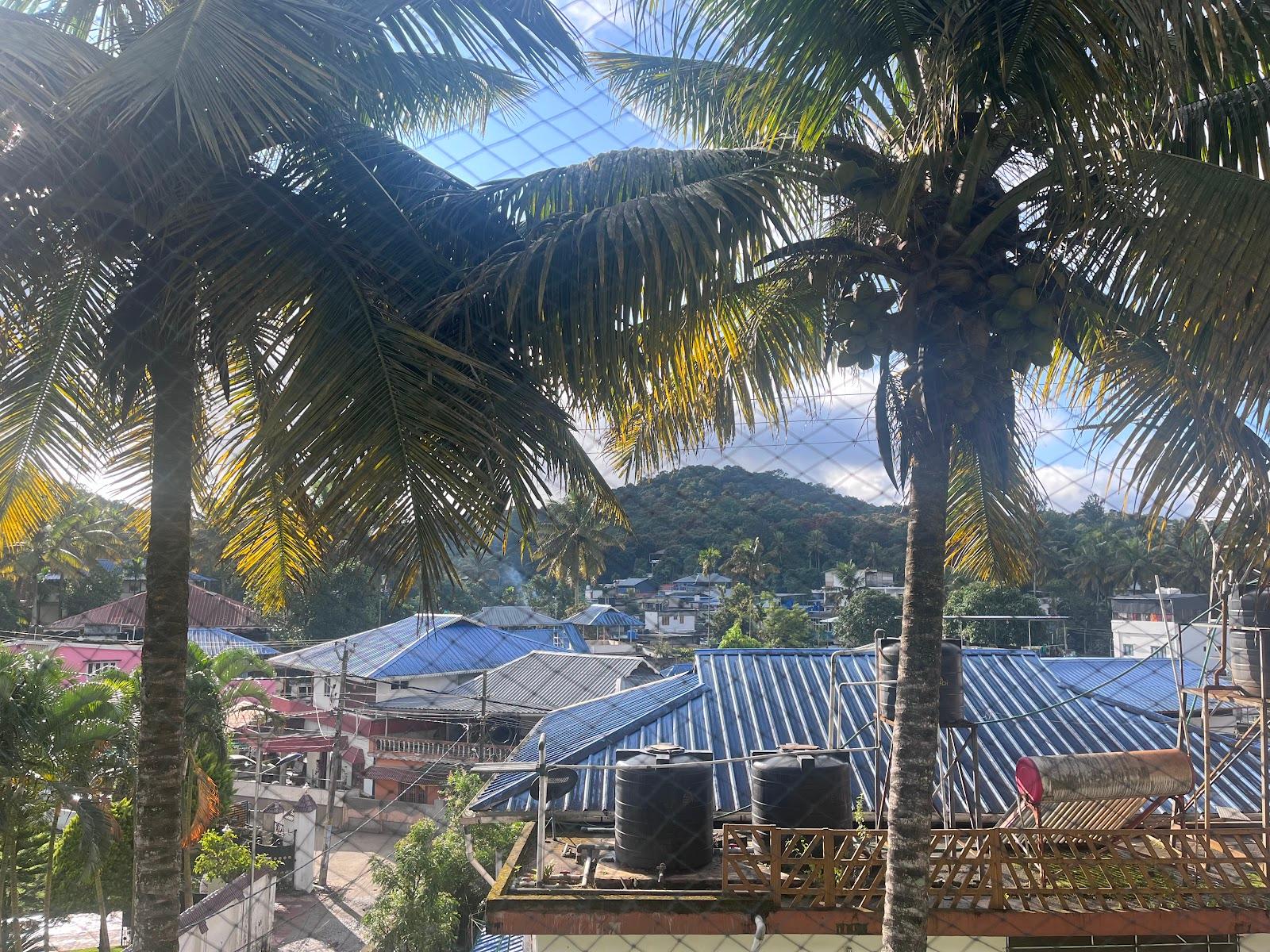 Mountain View Homestay