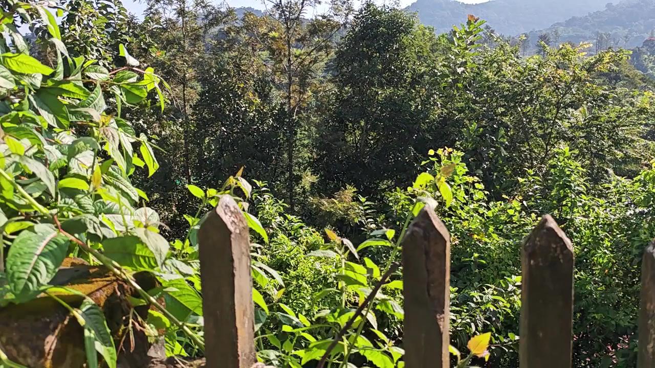 Green Peace Holiday Home – photo 2