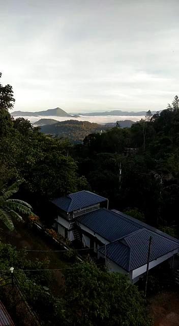 Eden Home Stay Idukki – photo 2