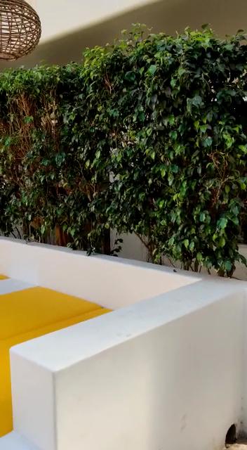 BloomSuites | Calangute – photo 2