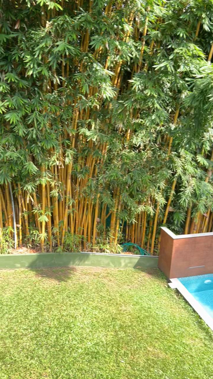 Athirappilly GREEN TREES RESORTS – photo 2