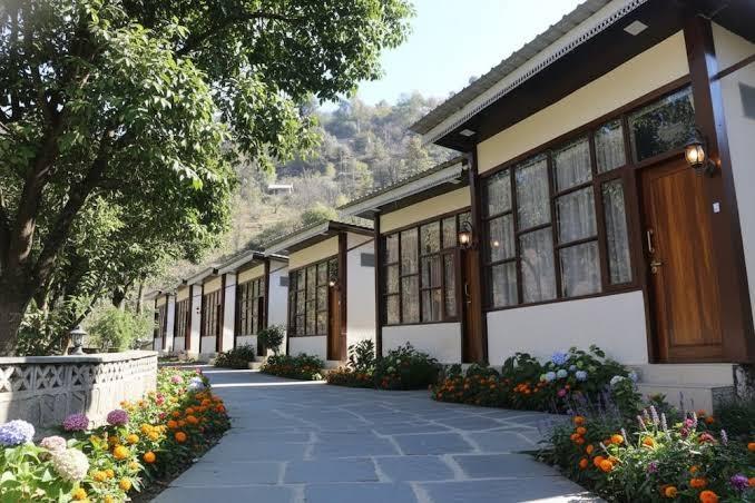 SnugBugKasol – photo 4