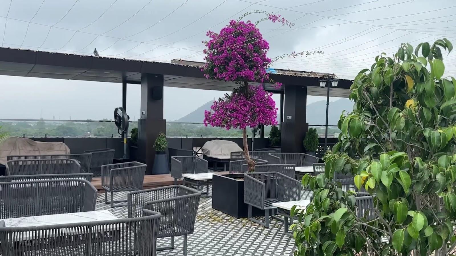 Mount View Hotel – photo 2