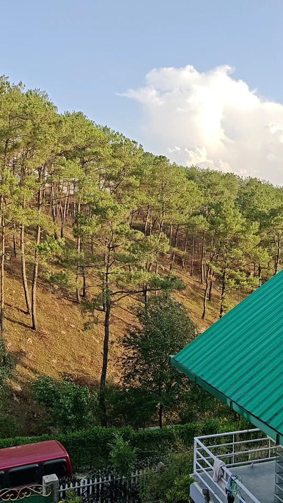 The Home Stay & Travellers Hostel – photo 1