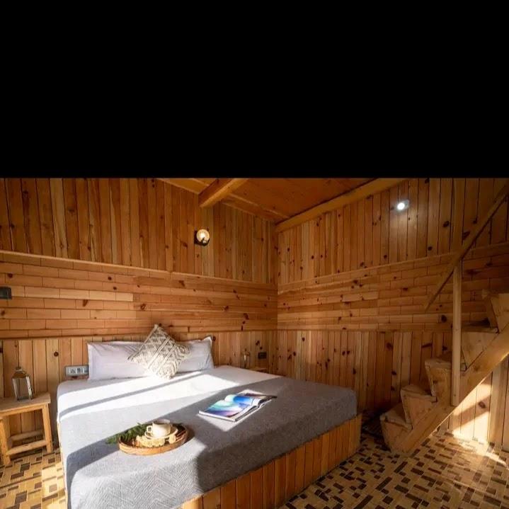 The Cozy Cabin Jibhi – photo 3
