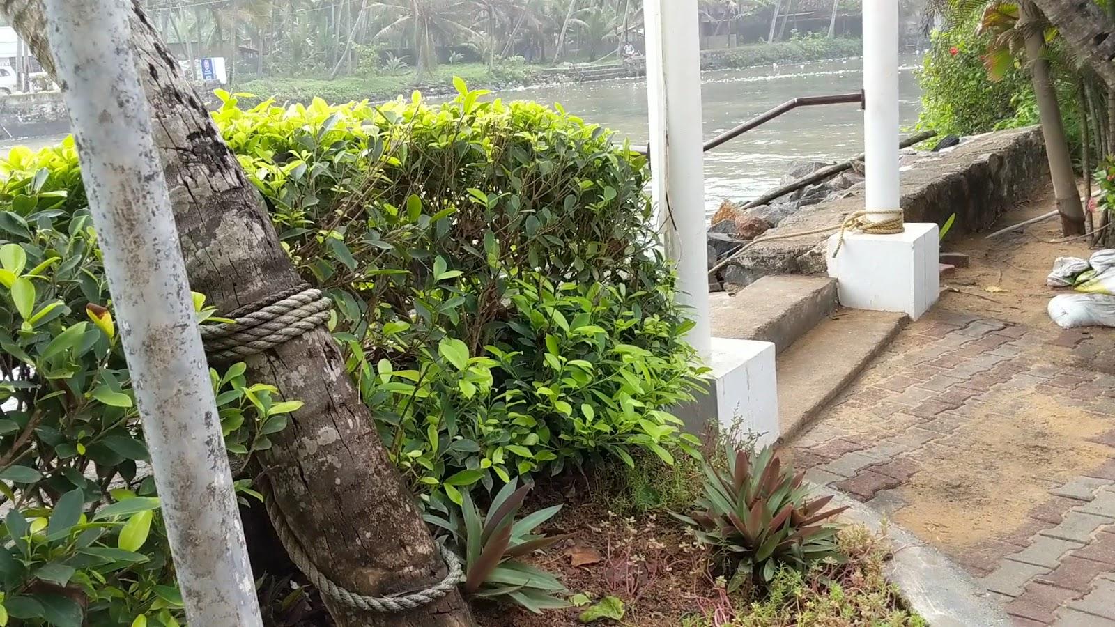 Beach & Lake Ayurvedic Resort, Kovalam – photo 2