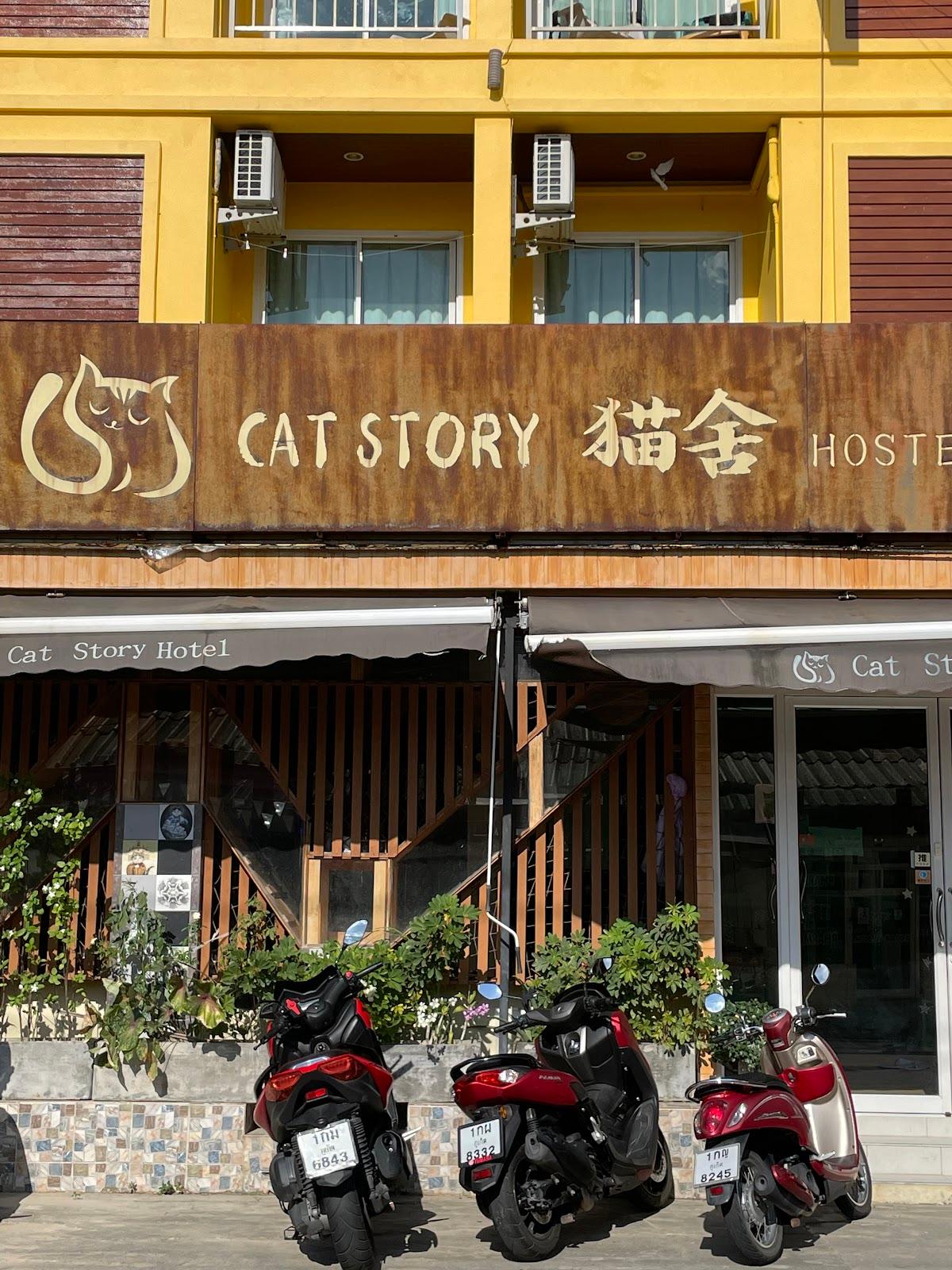 Cat Story Hotel – photo 3