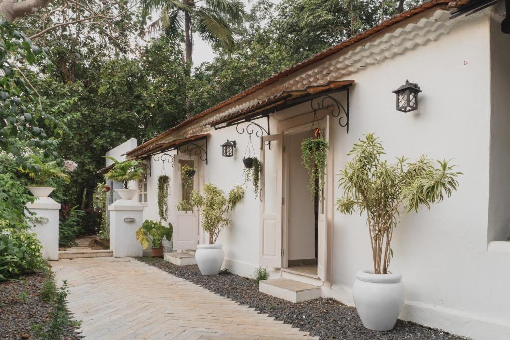 The Greendoor Villa - Bogen
