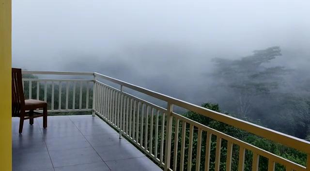 Roca Vista – photo 2