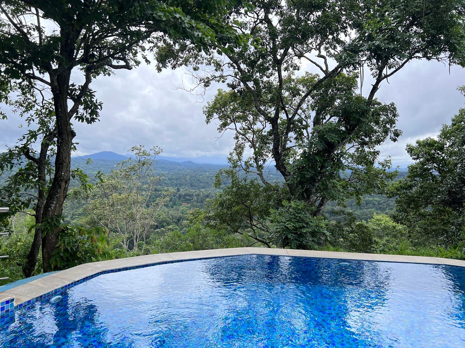 Porcupine Castle Resort Coorg – photo 4