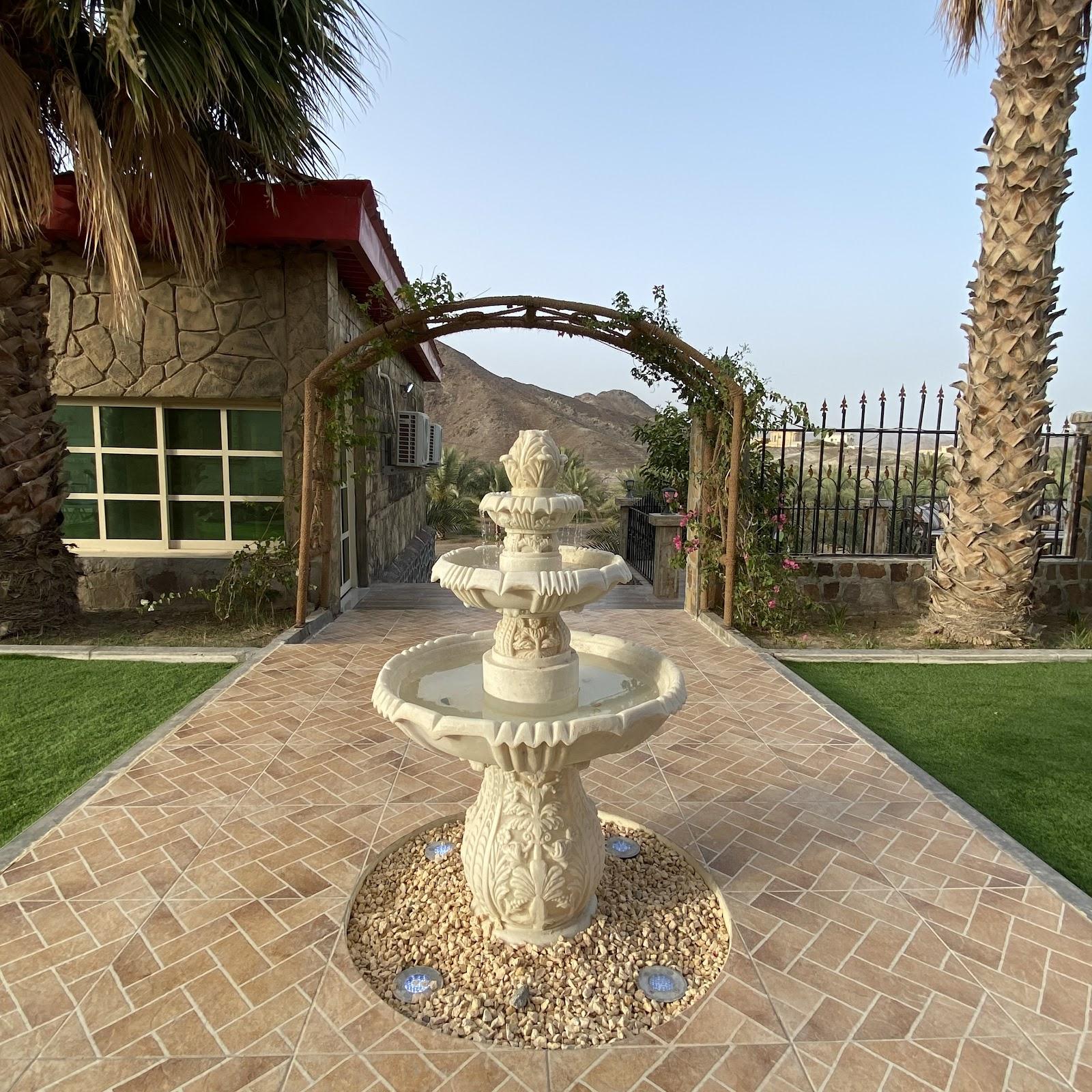 UAE farm – photo 2