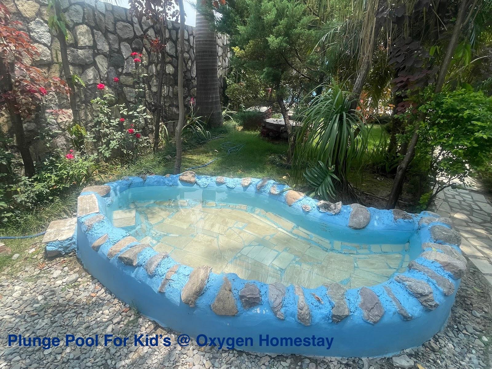 Oxygen HomeStay – photo 4
