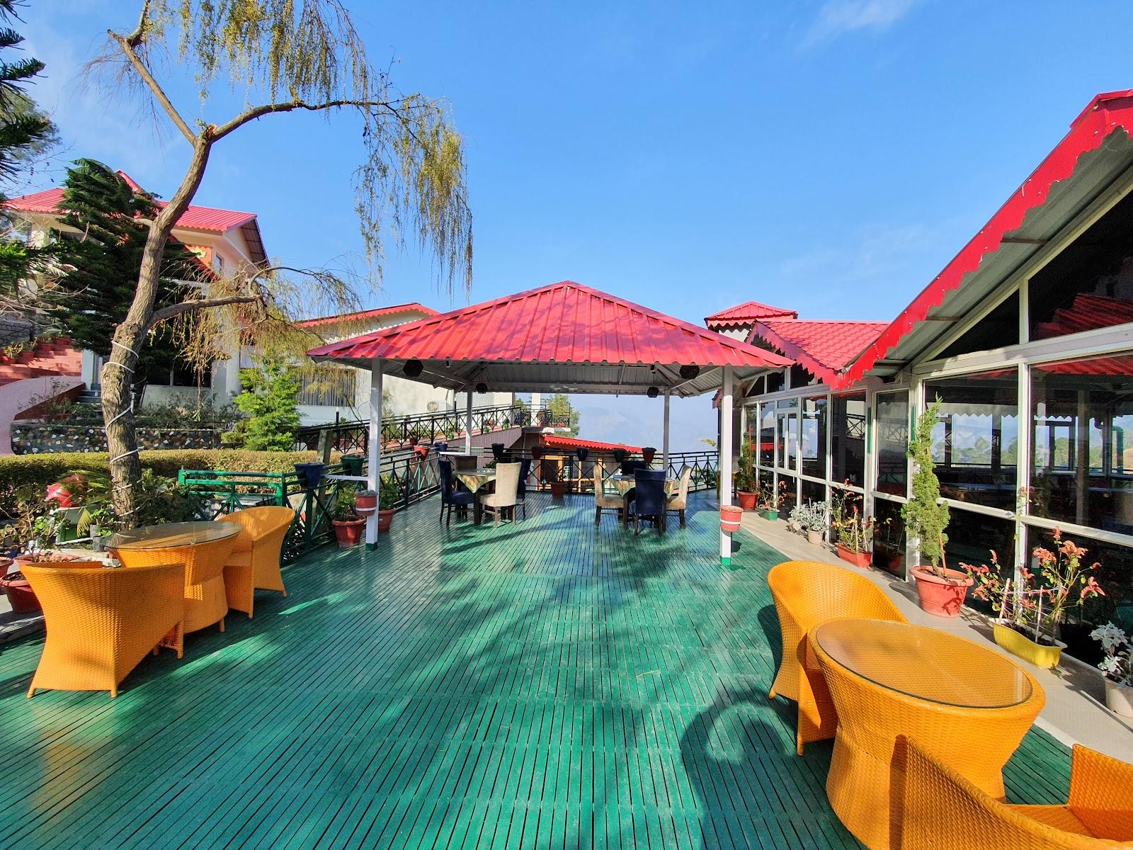 Maple Resort - Chail, Solan, Shimla – photo 4
