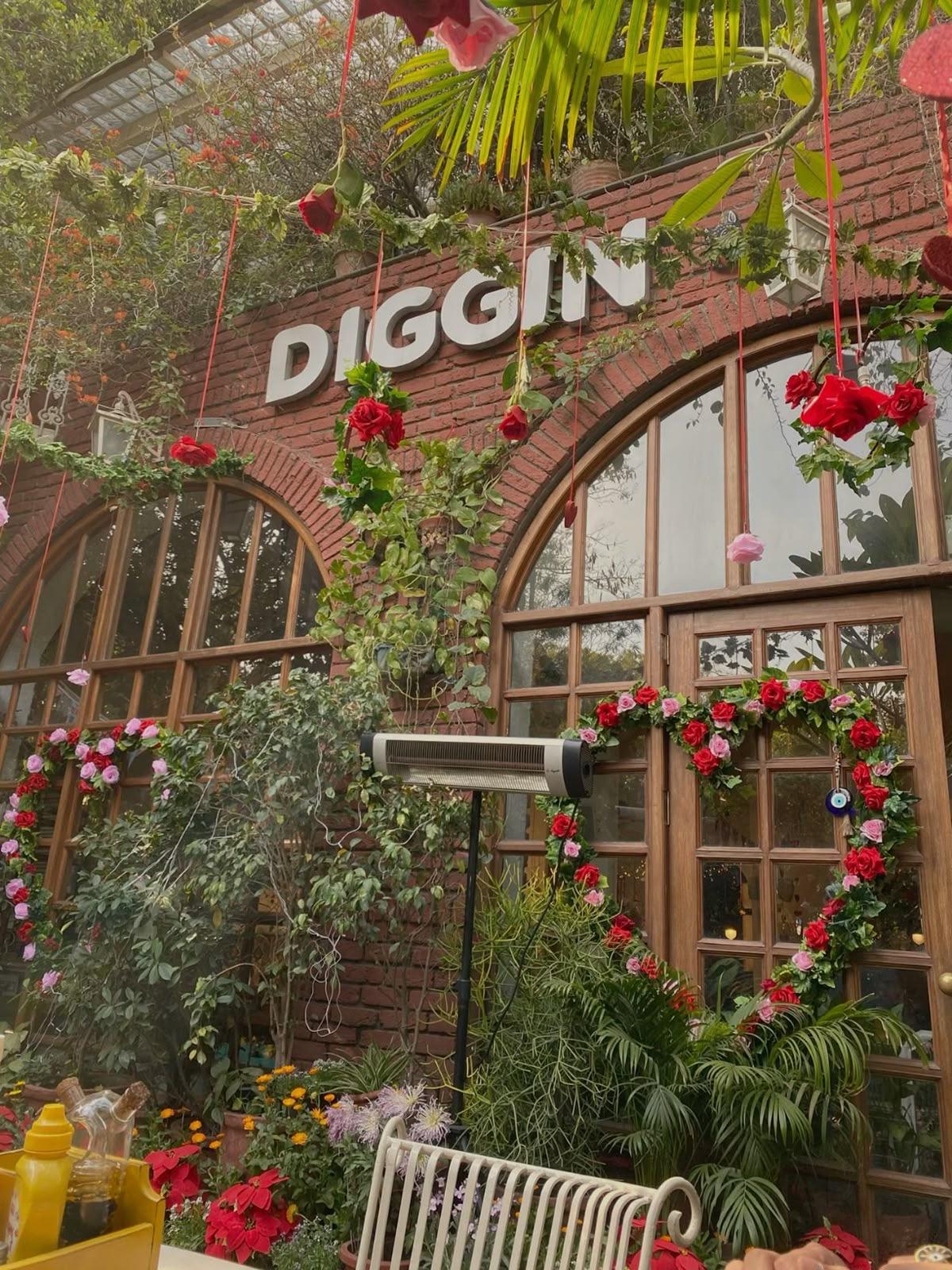 DIGGIN – photo 2