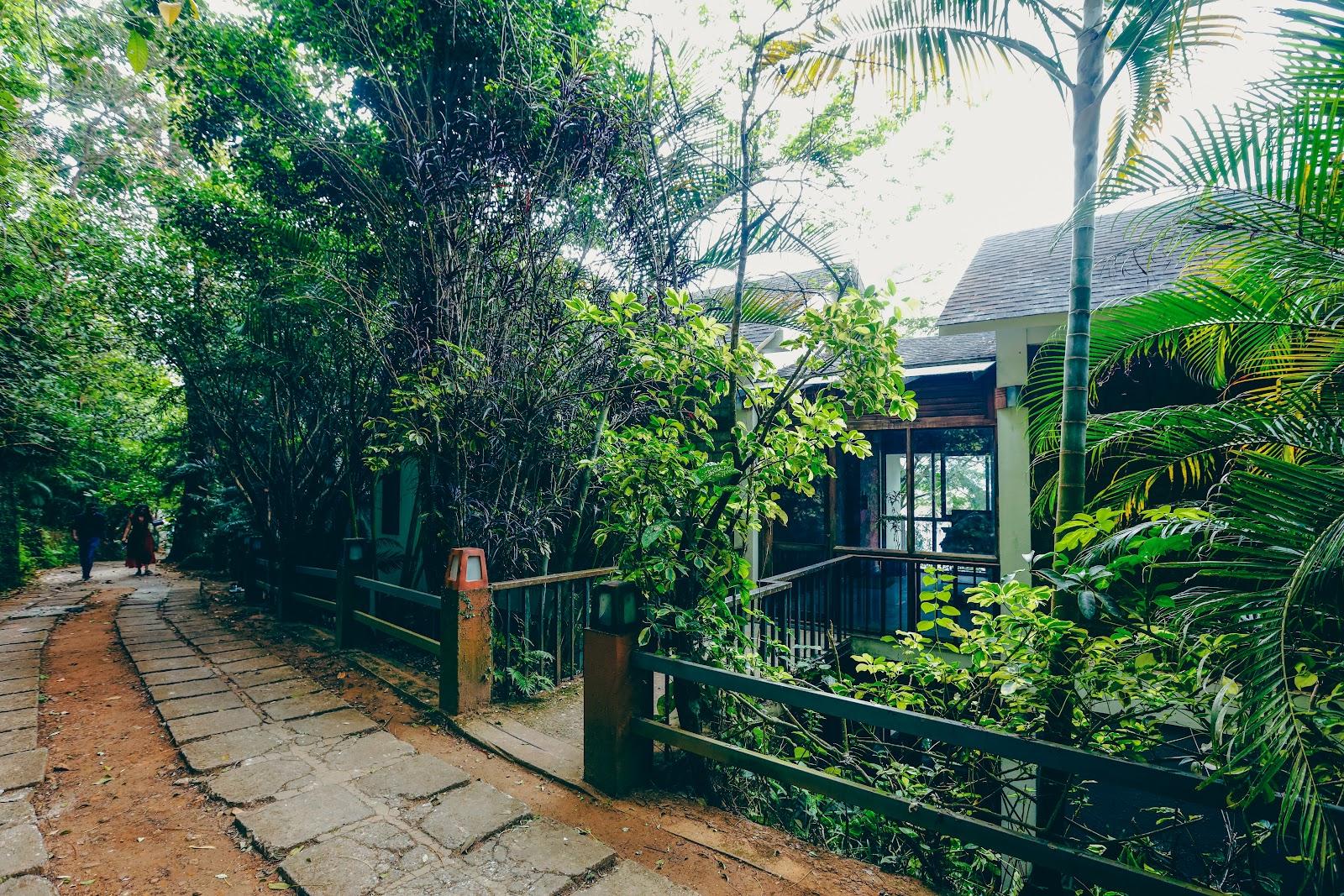 Wayanad Silverwoods Resorts