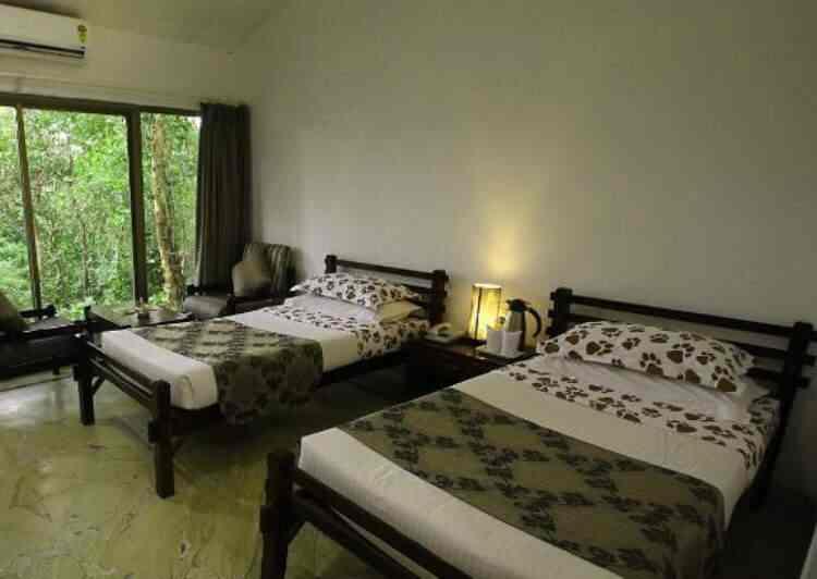 MPT White Tiger Forest Lodge, Bandhavgarh – photo 3