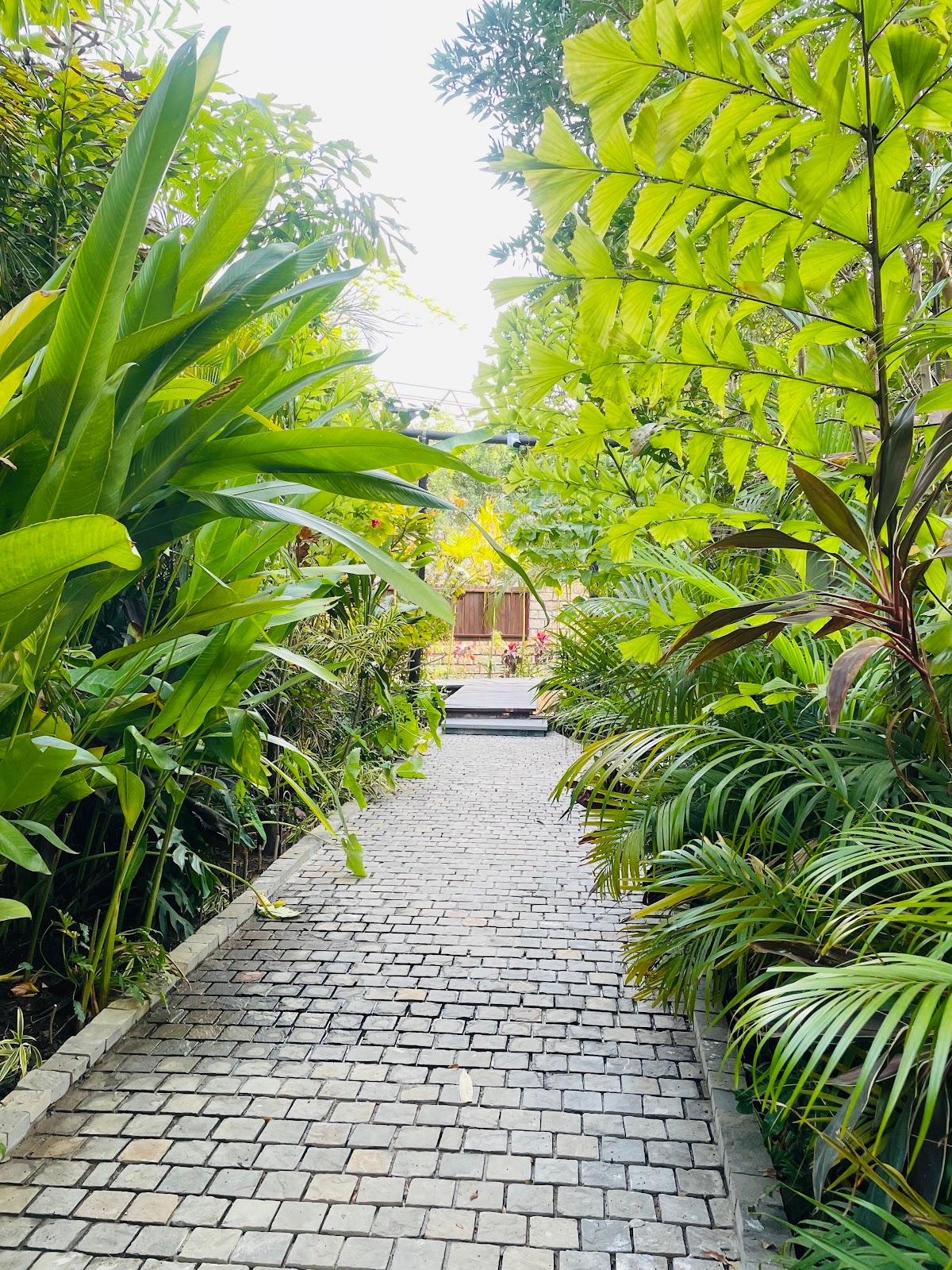 The Bali House