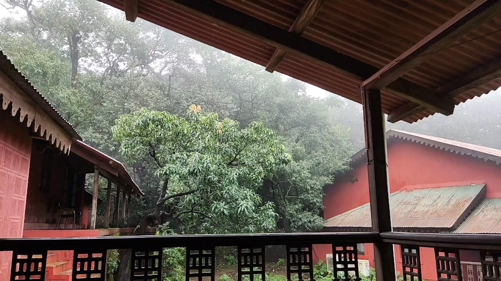 Green Field Resort – photo 2