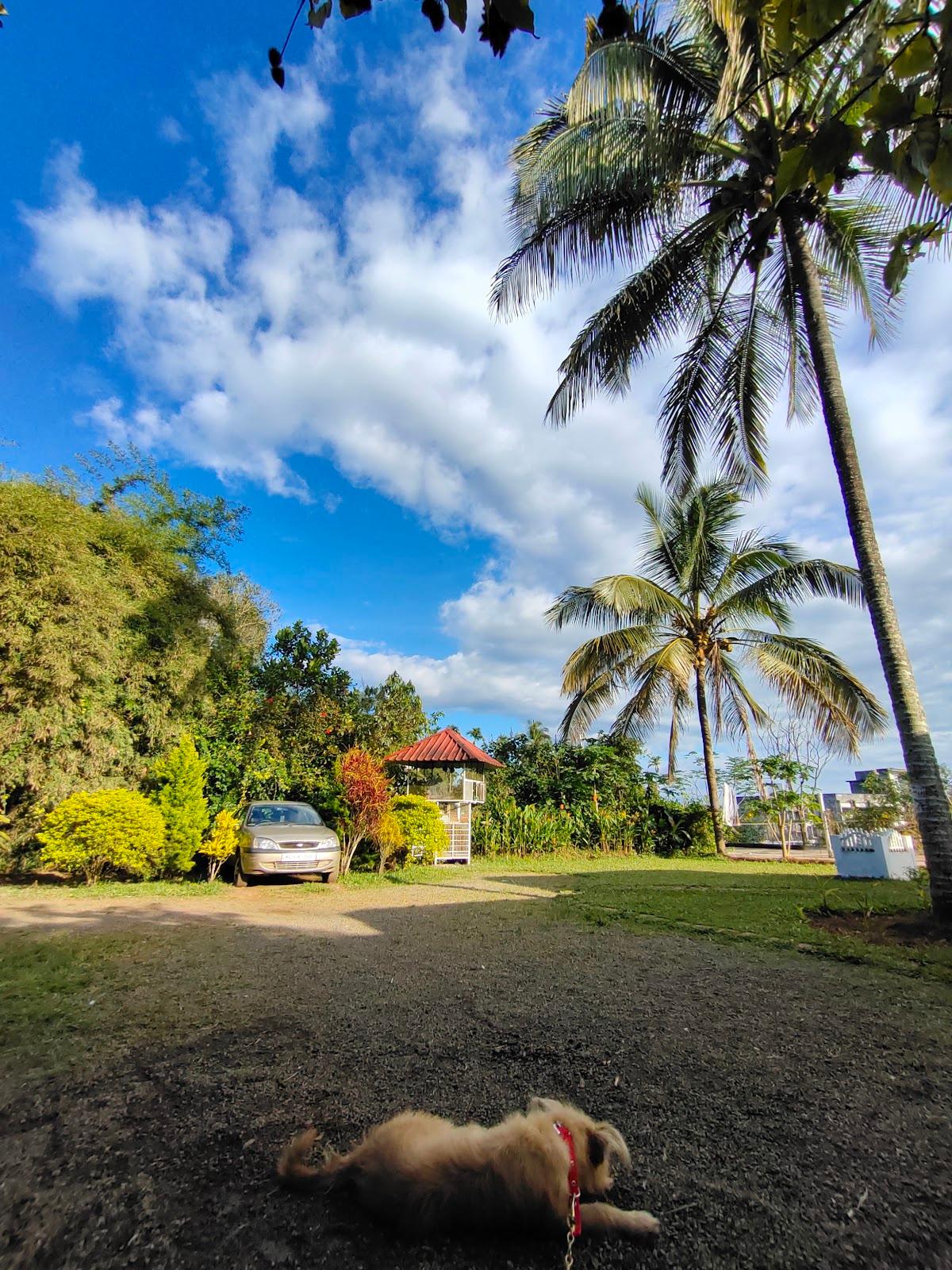 Tea Route Holiday Home – photo 4