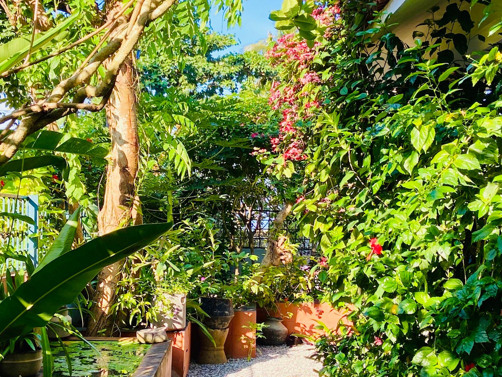 Villa Jacaranda – photo 4