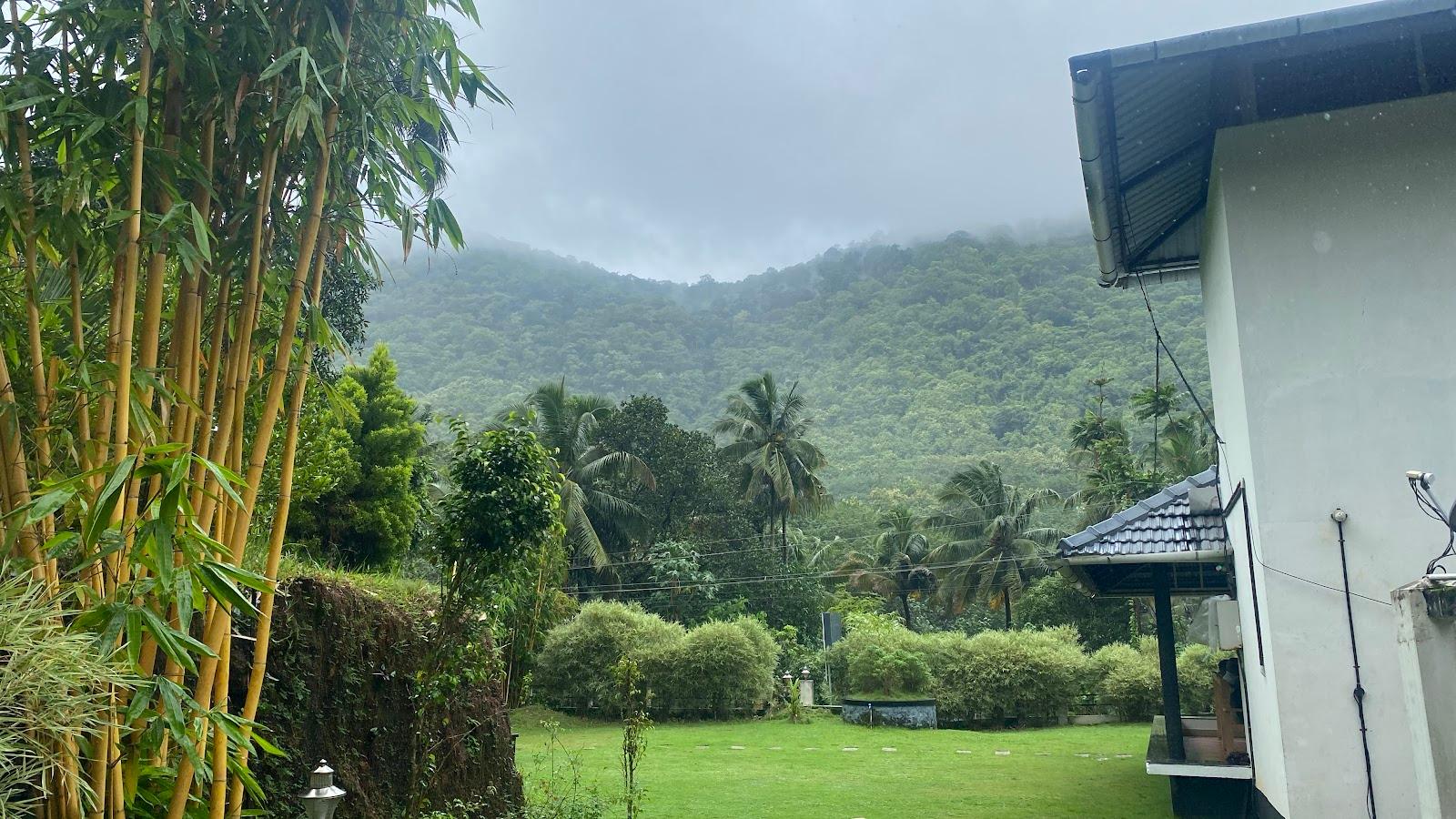 Ambanad Estate – photo 1